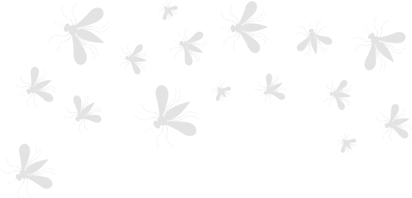 swarm of mosquitoes